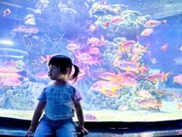 <h4>'IMG_20250531_115102.jpg' 2000 x 1500 | HUAWEI P60 | 2025-05-31 11:51:02</h4>