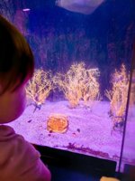 <h4>'IMG_20250531_115243.jpg' 1500 x 2000 | HUAWEI P60 | 2025-05-31 11:52:43</h4>