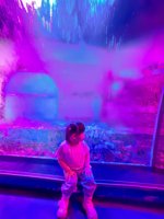 <h4>'IMG_20250531_115838.jpg' 1500 x 2000 | HUAWEI P60 | 2025-05-31 11:58:38</h4>