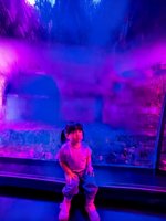 <h4>'IMG_20250531_115839.jpg' 1500 x 2000 | HUAWEI P60 | 2025-05-31 11:58:39</h4>