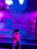 <h4>'IMG_20250531_115842.jpg' 1500 x 2000 | HUAWEI P60 | 2025-05-31 11:58:42</h4>