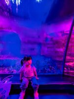 <h4>'IMG_20250531_115856.jpg' 1500 x 2000 | HUAWEI P60 | 2025-05-31 11:58:56</h4>