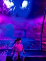 <h4>'IMG_20250531_115858.jpg' 1500 x 2000 | HUAWEI P60 | 2025-05-31 11:58:58</h4>