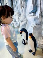 <h4>'IMG_20250531_120656.jpg' 1500 x 2000 | HUAWEI P60 | 2025-05-31 12:06:56</h4>