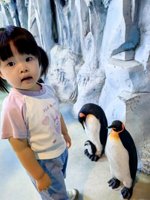 <h4>'IMG_20250531_120657_1.jpg' 1500 x 2000 | HUAWEI P60 | 2025-05-31 12:06:57</h4>