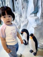 <h4>'IMG_20250531_120657.jpg' 1500 x 2000 | HUAWEI P60 | 2025-05-31 12:06:57</h4>