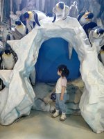 <h4>'IMG_20250531_120801.jpg' 1500 x 2000 | HUAWEI P60 | 2025-05-31 12:08:01</h4>