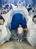 <h4>'IMG_20250531_120803_1.jpg' 1500 x 2000 | HUAWEI P60 | 2025-05-31 12:08:03</h4>