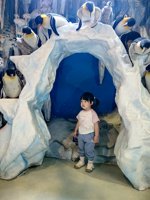 <h4>'IMG_20250531_120803.jpg' 1500 x 2000 | HUAWEI P60 | 2025-05-31 12:08:03</h4>