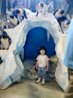 <h4>'IMG_20250531_120804.jpg' 1500 x 2000 | HUAWEI P60 | 2025-05-31 12:08:04</h4>