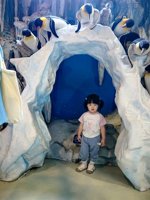 <h4>'IMG_20250531_120806.jpg' 1500 x 2000 | HUAWEI P60 | 2025-05-31 12:08:06</h4>