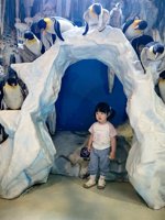 <h4>'IMG_20250531_120807.jpg' 1500 x 2000 | HUAWEI P60 | 2025-05-31 12:08:07</h4>