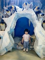 <h4>'IMG_20250531_120809.jpg' 1500 x 2000 | HUAWEI P60 | 2025-05-31 12:08:09</h4>