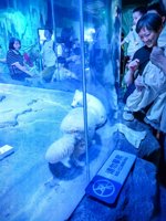 <h4>'IMG_20250531_121010.jpg' 1500 x 2000 | HUAWEI P60 | 2025-05-31 12:10:10</h4>