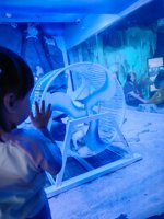 <h4>'IMG_20250531_121014.jpg' 1500 x 2000 | HUAWEI P60 | 2025-05-31 12:10:14</h4>