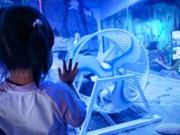 <h4>'IMG_20250531_121020.jpg' 2000 x 1500 | HUAWEI P60 | 2025-05-31 12:10:20</h4>