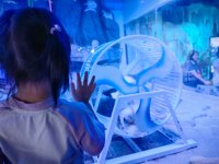 <h4>'IMG_20250531_121022.jpg' 2000 x 1500 | HUAWEI P60 | 2025-05-31 12:10:22</h4>