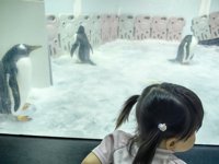 <h4>'IMG_20250531_121230.jpg' 2000 x 1500 | HUAWEI P60 | 2025-05-31 12:12:30</h4>