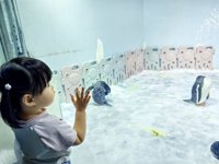 <h4>'IMG_20250531_121258.jpg' 2000 x 1500 | HUAWEI P60 | 2025-05-31 12:12:58</h4>