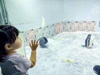 <h4>'IMG_20250531_121300.jpg' 2000 x 1500 | HUAWEI P60 | 2025-05-31 12:13:00</h4>