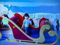 <h4>'IMG_20250531_121408.jpg' 2000 x 1500 | HUAWEI P60 | 2025-05-31 12:14:08</h4>