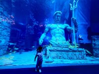 <h4>'IMG_20250531_121503.jpg' 2000 x 1500 | HUAWEI P60 | 2025-05-31 12:15:03</h4>