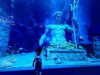 <h4>'IMG_20250531_121504.jpg' 2000 x 1500 | HUAWEI P60 | 2025-05-31 12:15:04</h4>