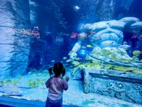 <h4>'IMG_20250531_121512.jpg' 2000 x 1500 | HUAWEI P60 | 2025-05-31 12:15:12</h4>