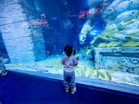 <h4>'IMG_20250531_121523.jpg' 2000 x 1500 | HUAWEI P60 | 2025-05-31 12:15:23</h4>