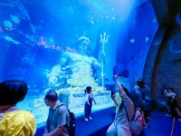 <h4>'IMG_20250531_121553.jpg' 2000 x 1500 | HUAWEI P60 | 2025-05-31 12:15:53</h4>