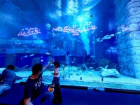 <h4>'IMG_20250531_121710.jpg' 2000 x 1500 | HUAWEI P60 | 2025-05-31 12:17:10</h4>