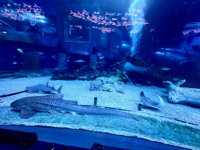 <h4>'IMG_20250531_121737.jpg' 2000 x 1500 | HUAWEI P60 | 2025-05-31 12:17:37</h4>