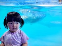 <h4>'IMG_20250531_122110.jpg' 2000 x 1500 | HUAWEI P60 | 2025-05-31 12:21:10</h4>