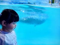 <h4>'IMG_20250531_122111.jpg' 2000 x 1500 | HUAWEI P60 | 2025-05-31 12:21:11</h4>