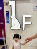 <h4>'IMG_20250531_124924.jpg' 1500 x 2000 | HUAWEI P60 | 2025-05-31 12:49:24</h4>