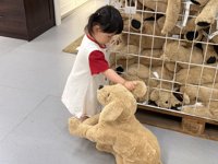 <h4>'IMG_2425.jpg' 2000 x 1500 | iPhone 16 Pro | 2025-05-04 10:59:58</h4>