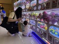 <h4>'IMG_2506.jpg' 1999 x 1500 | iPhone 16 Pro | 2025-05-18 11:57:47</h4>