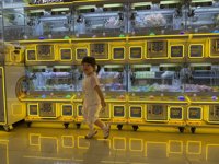 <h4>'IMG_2572.jpg' 1999 x 1500 | iPhone 16 Pro | 2025-05-25 11:34:34</h4>