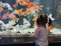 <h4>'IMG_2599.jpg' 1999 x 1500 | iPhone 16 Pro | 2025-05-31 11:40:30</h4>