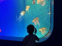 <h4>'IMG_2603.jpg' 1999 x 1500 | iPhone 16 Pro | 2025-05-31 11:46:55</h4>