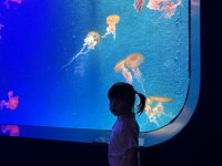 <h4>'IMG_2604.jpg' 1999 x 1500 | iPhone 16 Pro | 2025-05-31 11:46:58</h4>