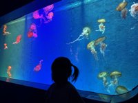 <h4>'IMG_2605.jpg' 1999 x 1500 | iPhone 16 Pro | 2025-05-31 11:47:03</h4>