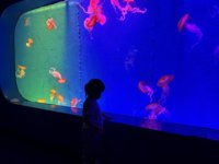 <h4>'IMG_2606.jpg' 1999 x 1500 | iPhone 16 Pro | 2025-05-31 11:47:20</h4>