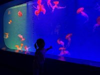 <h4>'IMG_2607.jpg' 1999 x 1500 | iPhone 16 Pro | 2025-05-31 11:47:22</h4>