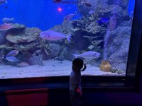 <h4>'IMG_2608.jpg' 1999 x 1500 | iPhone 16 Pro | 2025-05-31 11:47:59</h4>