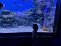 <h4>'IMG_2609.jpg' 1999 x 1500 | iPhone 16 Pro | 2025-05-31 11:48:03</h4>