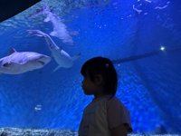 <h4>'IMG_2610.jpg' 1999 x 1500 | iPhone 16 Pro | 2025-05-31 11:49:35</h4>