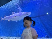 <h4>'IMG_2611.jpg' 1999 x 1500 | iPhone 16 Pro | 2025-05-31 11:49:36</h4>