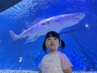 <h4>'IMG_2612.jpg' 1999 x 1500 | iPhone 16 Pro | 2025-05-31 11:49:37</h4>