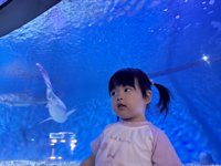 <h4>'IMG_2613.jpg' 2000 x 1500 | iPhone 16 Pro | 2025-05-31 11:49:43</h4>